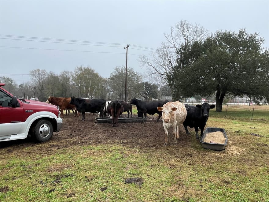 TBD Tx-321, Dayton, Texas