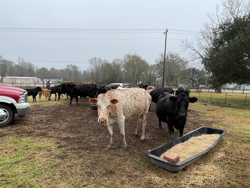 TBD Tx-321, Dayton, Texas