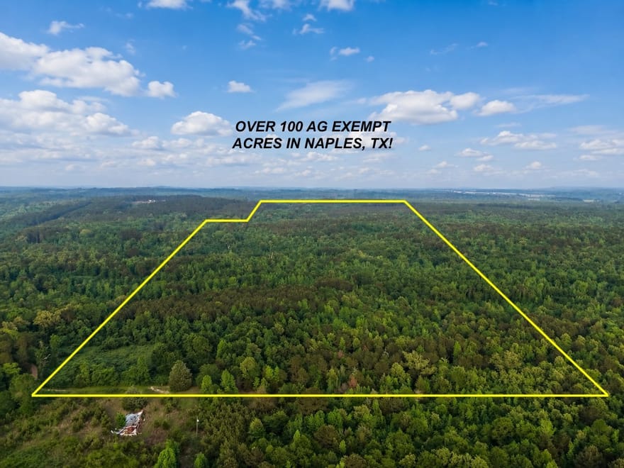TBD County Road 2742, Naples, Texas