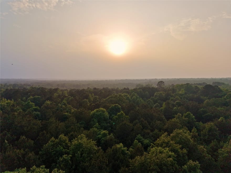 TBD County Road 2742, Naples, Texas