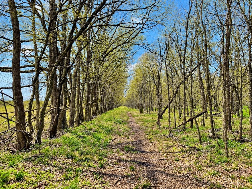 TBD Independence Springs, Sherman, Texas