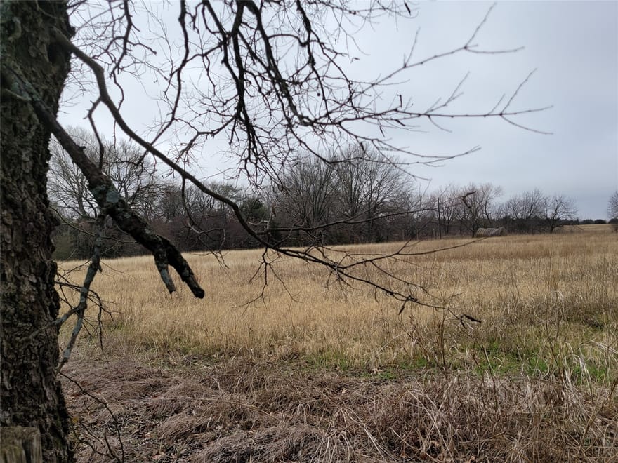 2232 County Road 415, Coyote Flats, Texas