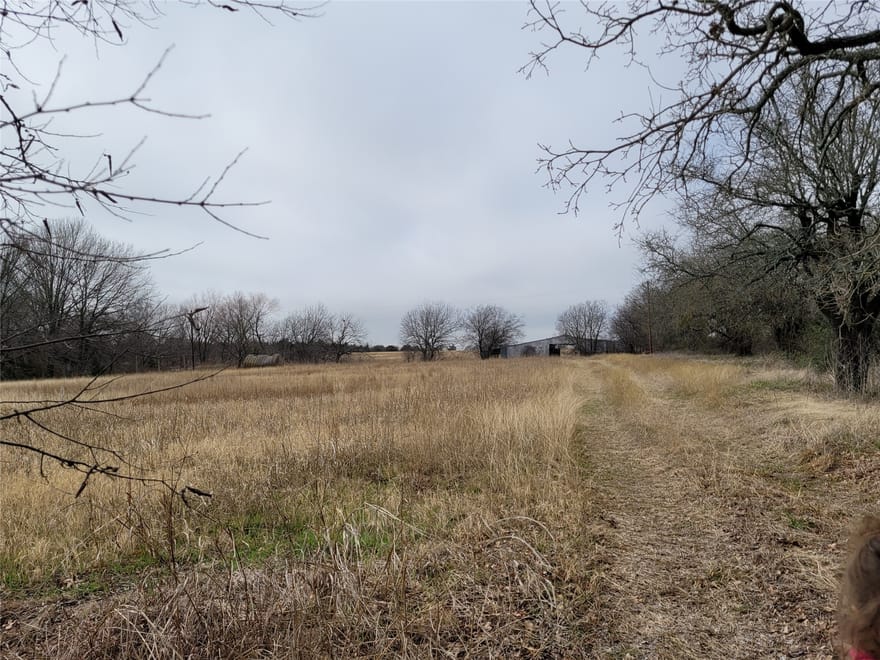 2232 County Road 415, Coyote Flats, Texas