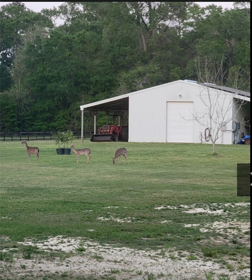 110 Dogwood Lane, Lumberton, Texas