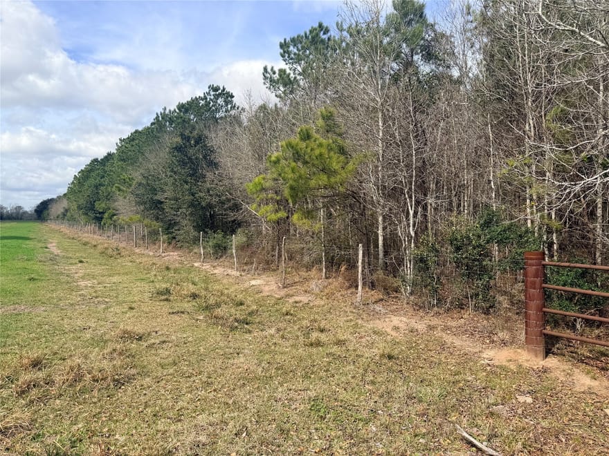 TBD Fm 160 S Mlk, Liberty, Texas