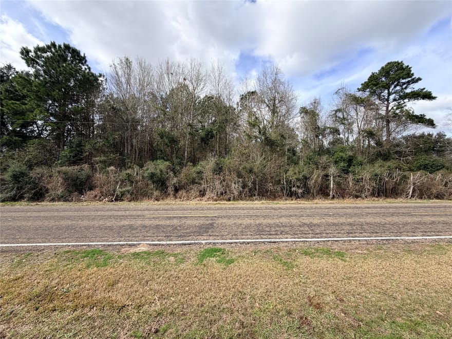 TBD Fm 160 S Mlk, Liberty, Texas