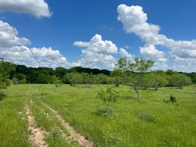 Davy Lane, Denison, Texas