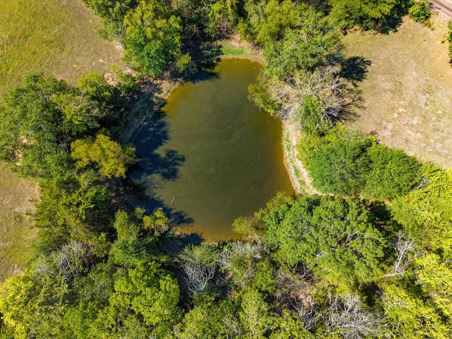 741 County Road 1222, Grand Saline, Texas