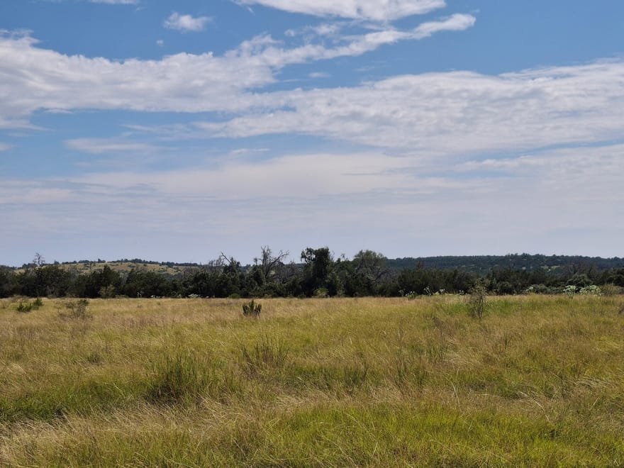 7523 N Grape Rd, Fredericksburg, Texas