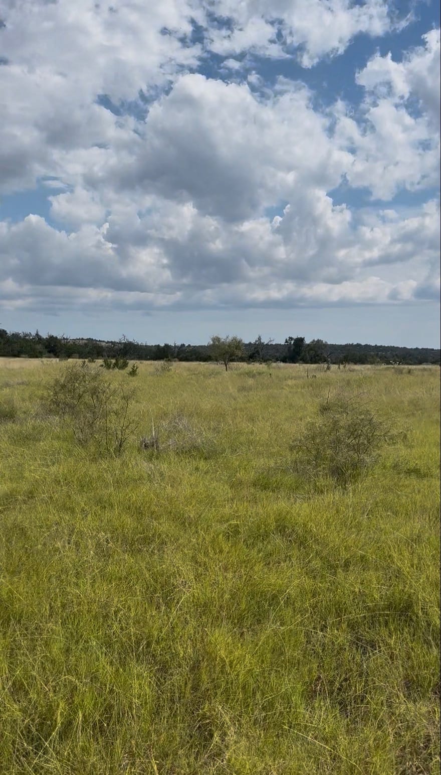 7523 N Grape Rd, Fredericksburg, Texas