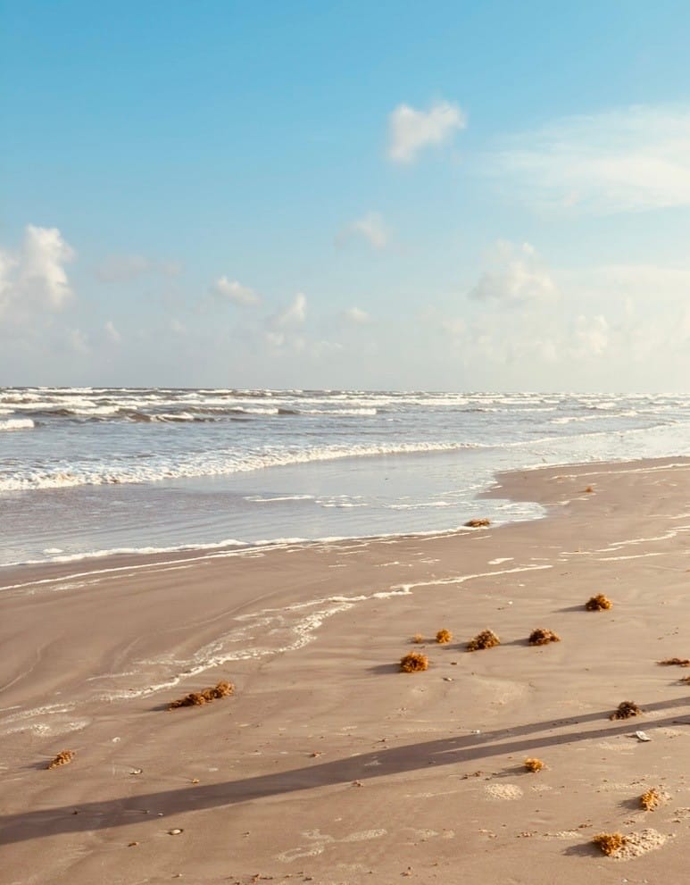25922 Flamingo Drive, Galveston, Texas