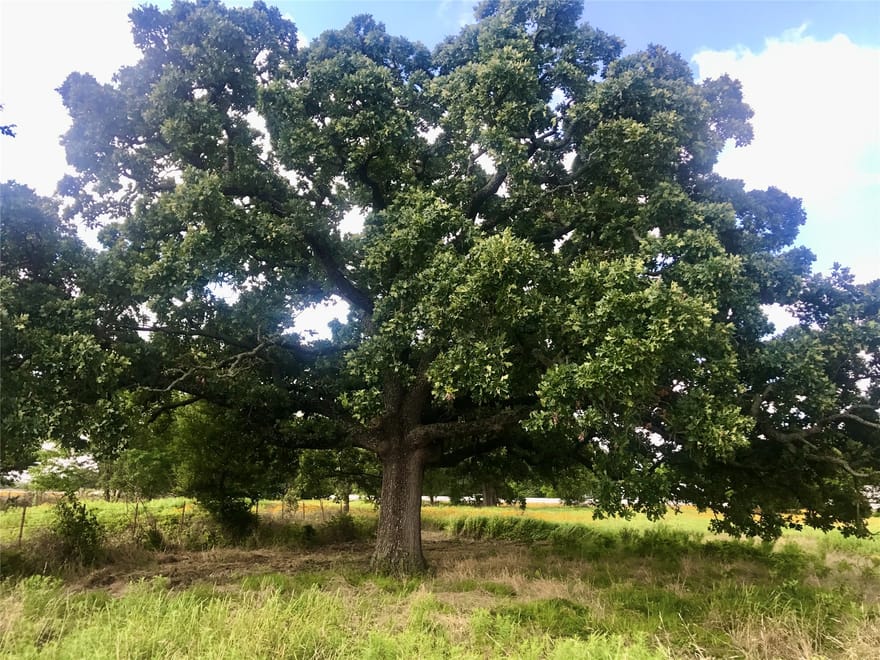Tbd I-20 Frontage, Wills Point, Texas