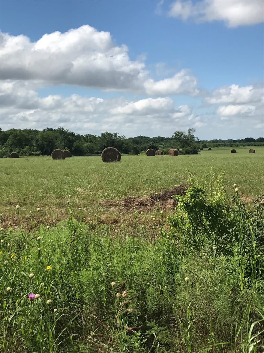 Tbd I-20 Frontage, Wills Point, Texas