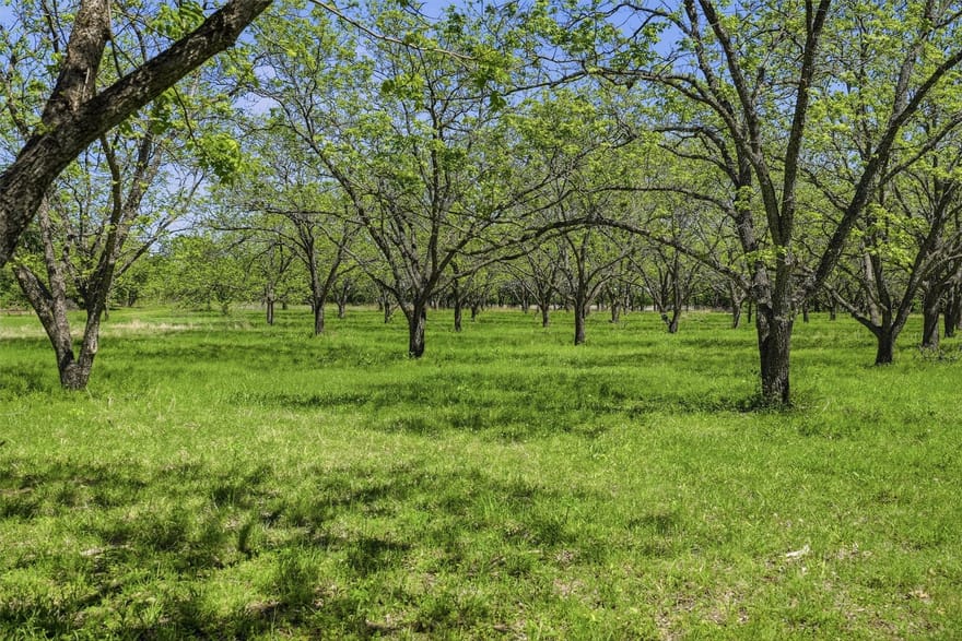 12011 Paradise Boulevard, Bluff Dale, Texas