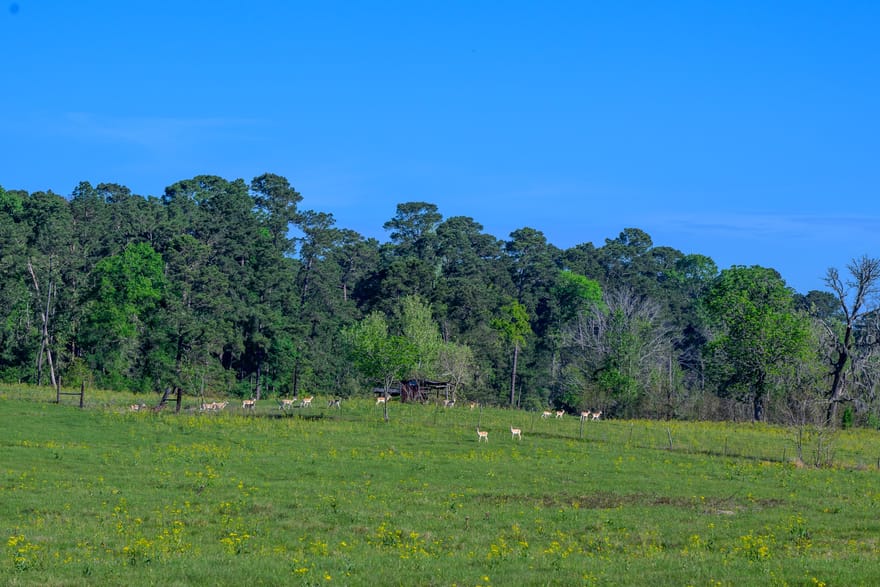 870 Fm 3188, Trinity, Texas
