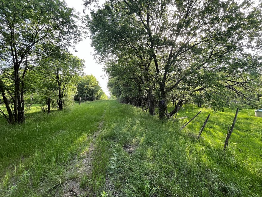 321.92  ACRES Lcr 208a, Coolidge, Texas