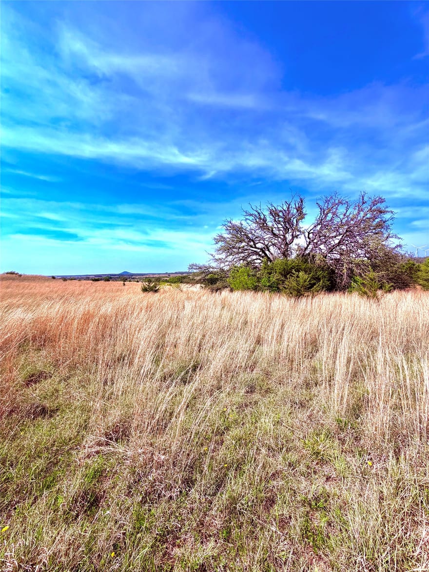 39 Cr 330, Goldthwaite, Texas