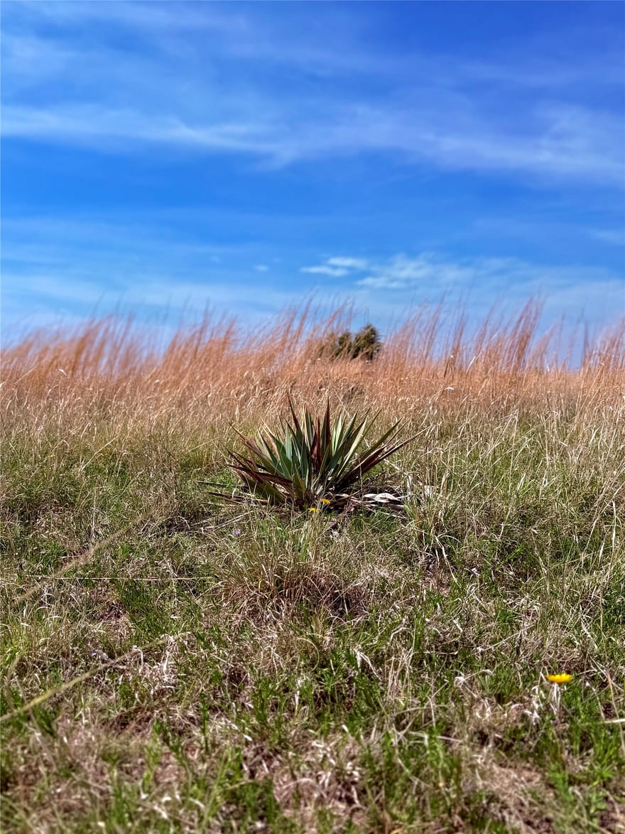 39 Cr 330, Goldthwaite, Texas