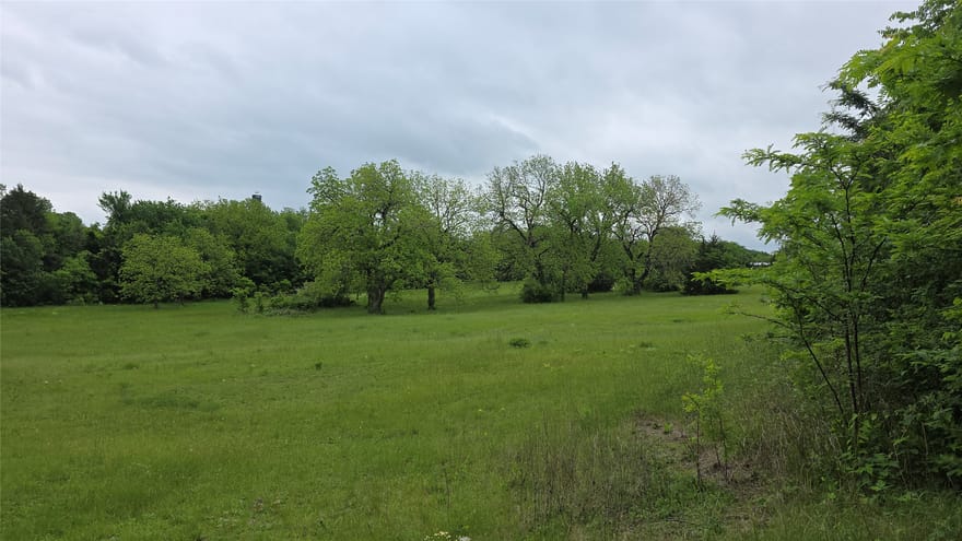 Fm 272, Celeste, Texas