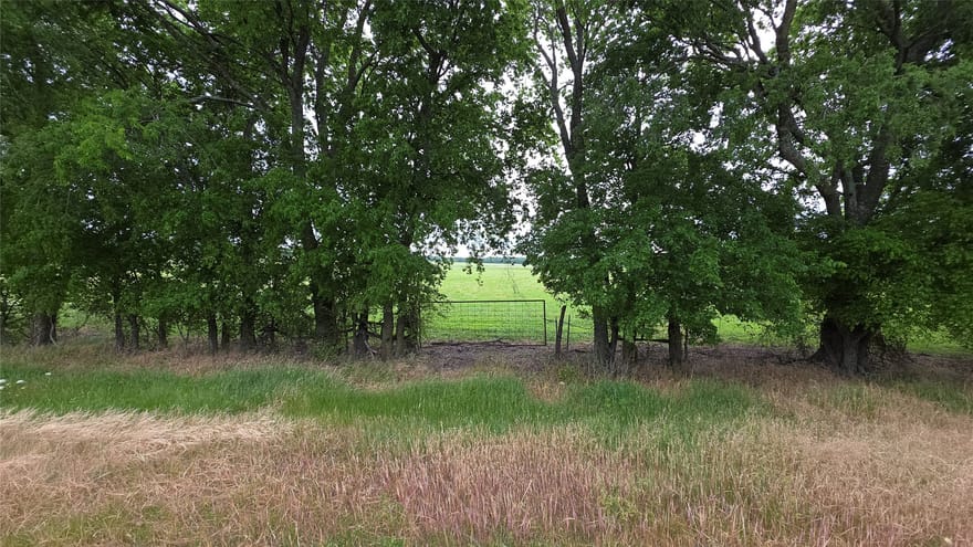 Fm 272, Celeste, Texas