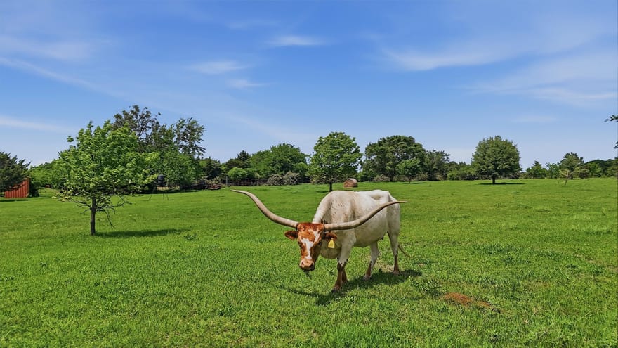13.65 Ac. Keefer Road, Pottsboro, Texas