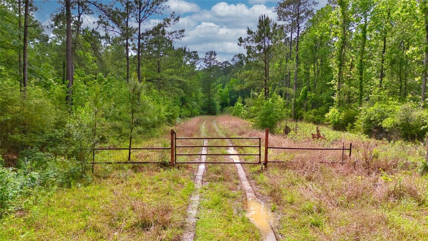 Fm 1409, Dayton, Texas