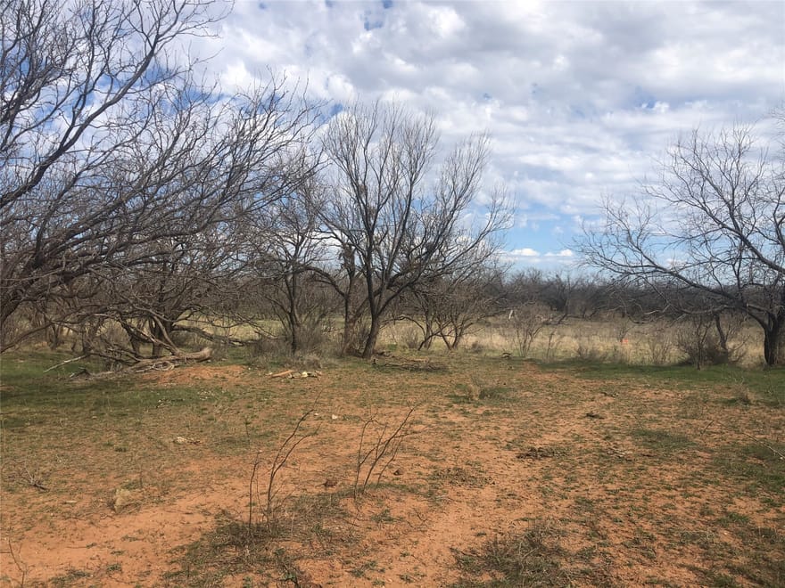 90 Acres TBD Bacacita Farms Road, Abilene, Texas
