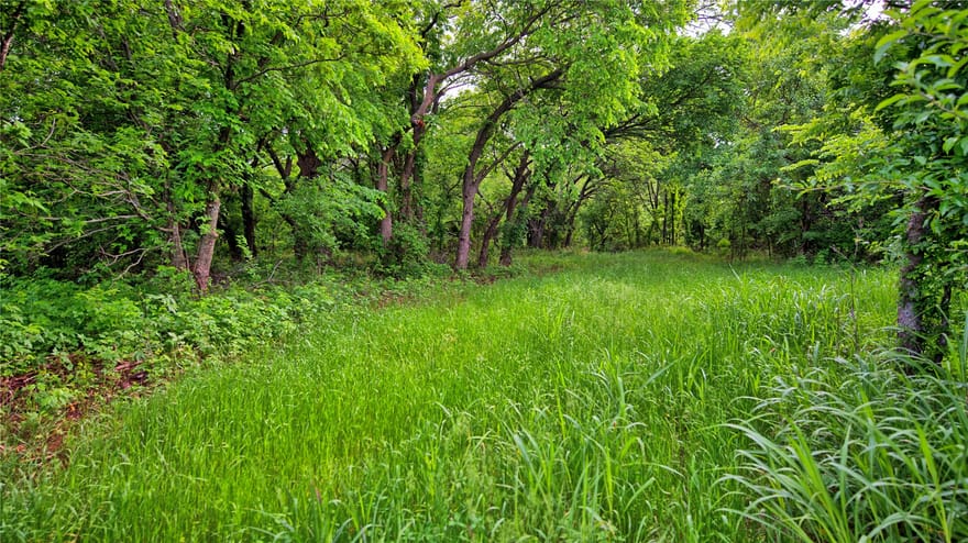 6500 Barrel Springs Road, Nocona, Texas