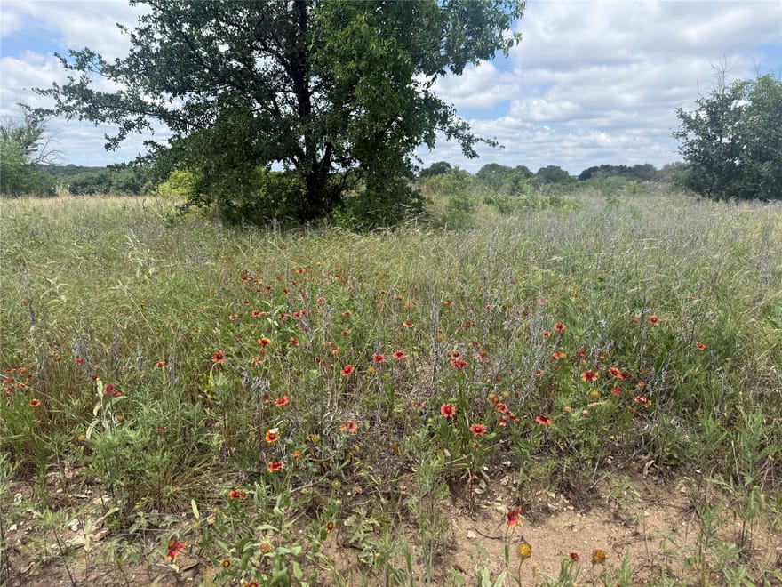 10131 Horizon View, Tolar, Texas