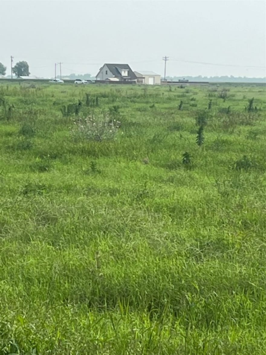 Gold Road, Garwood, Texas
