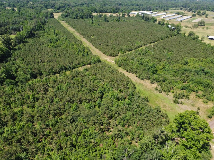 2 TBD County Road 295, Garrison, Texas