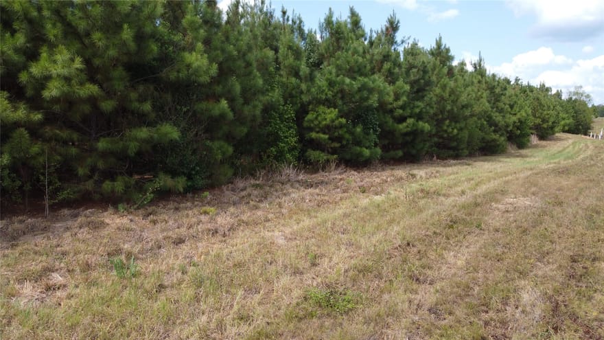2 TBD County Road 295, Garrison, Texas
