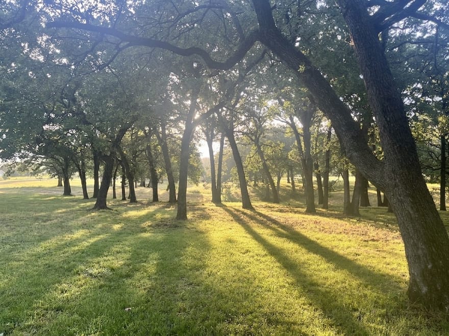 27659 Us Highway 377, Gordonville, Texas