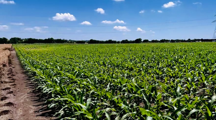 9775 County Road 505, Alvarado, Texas