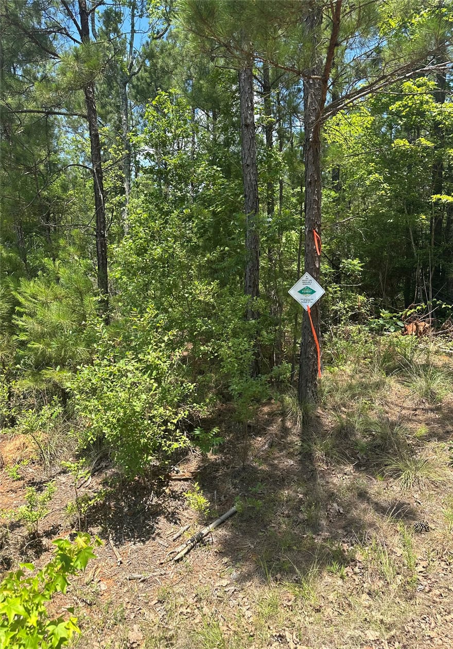 Maxey, Haynesville, Louisiana