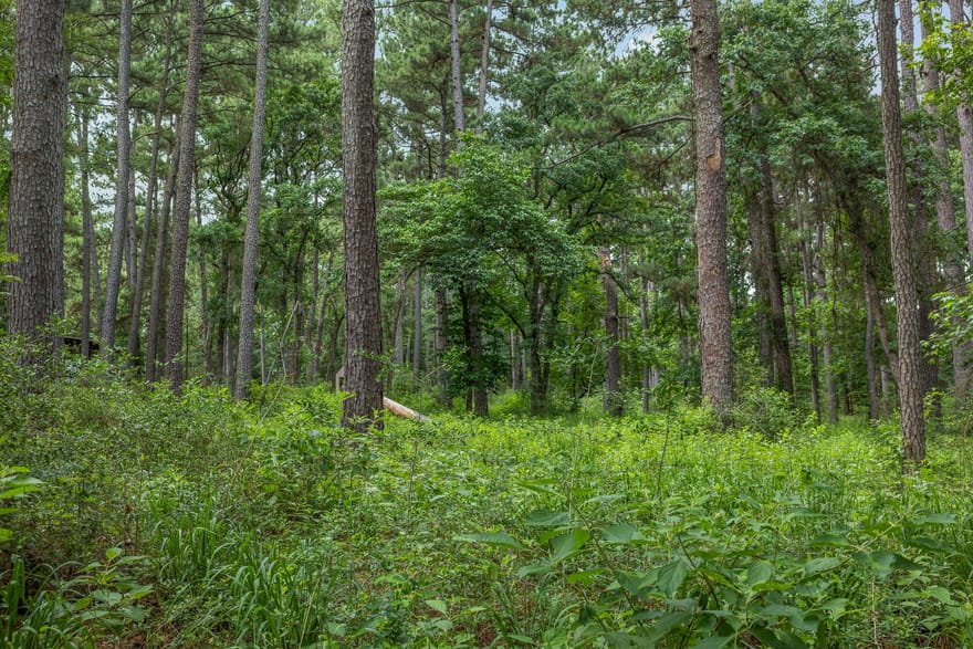 5772 Pr 2065, Centerville, Texas