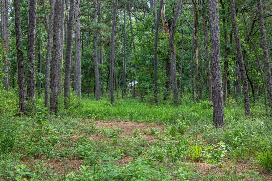 5772 Pr 2065, Centerville, Texas