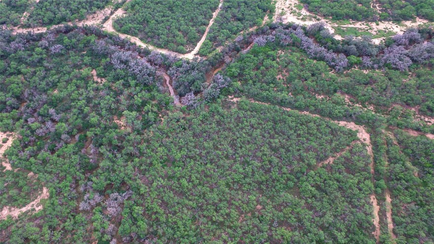 Cr 345, Charlotte, Texas