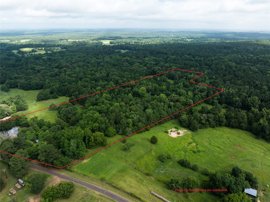519 An County Road 450, Palestine, Texas