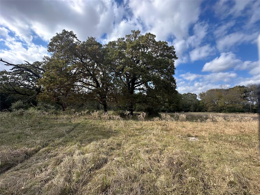 TBD Lcr 758, Thornton, Texas