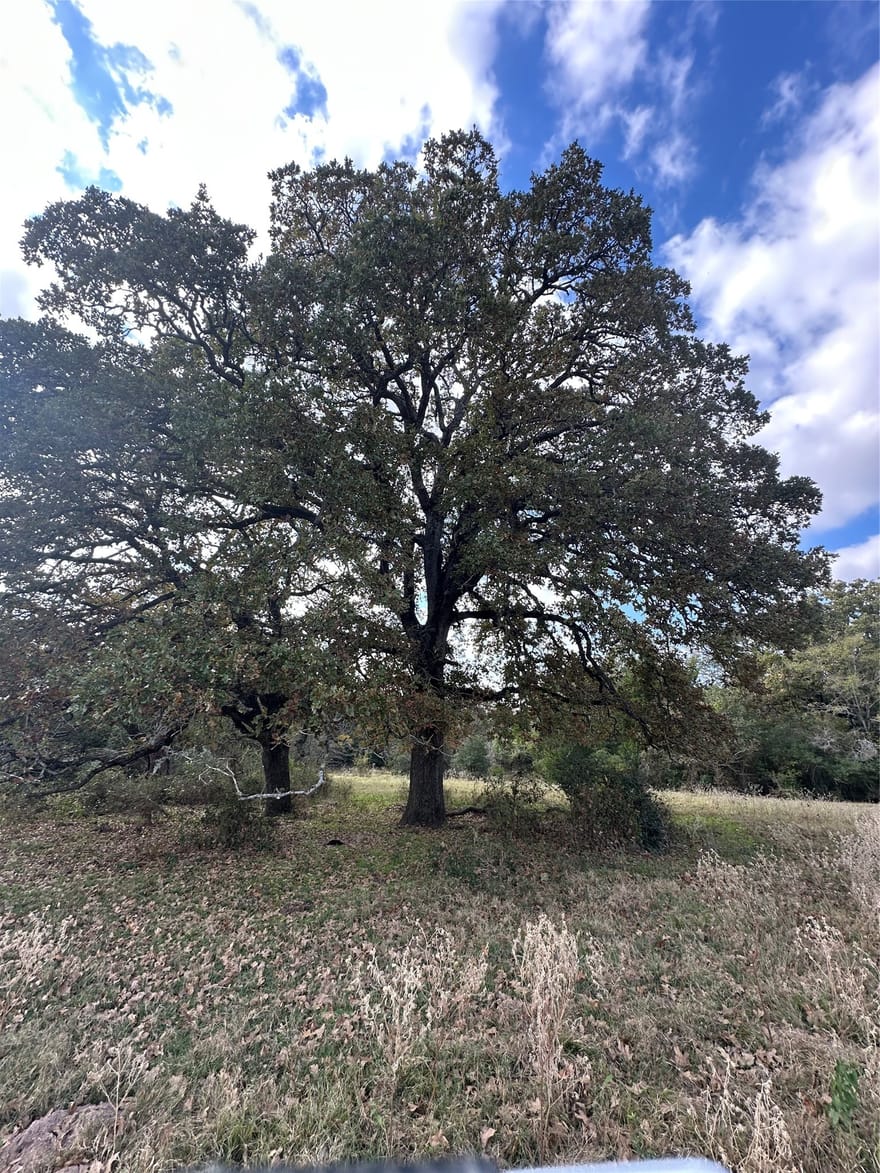 TBD Lcr 758, Thornton, Texas