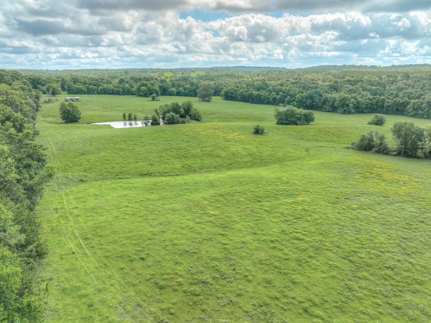 County Road 1750, Grapeland, Texas