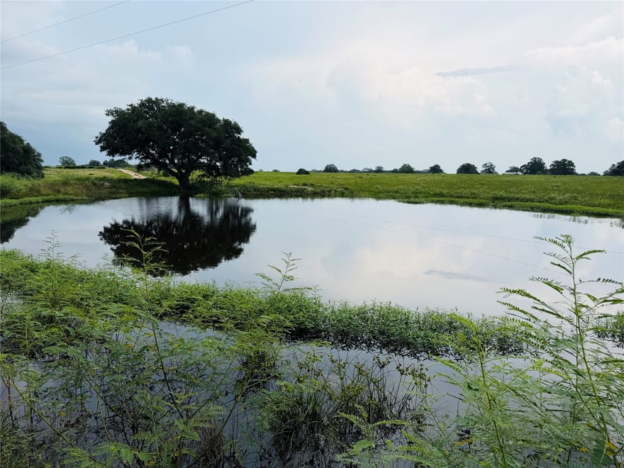 10309 Cr 1, Hallettsville, Texas