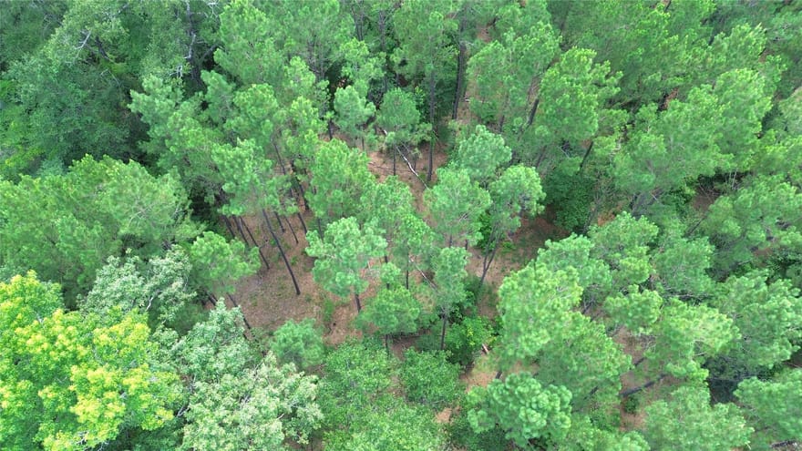 TBD County Road 4030, Crockett, Texas