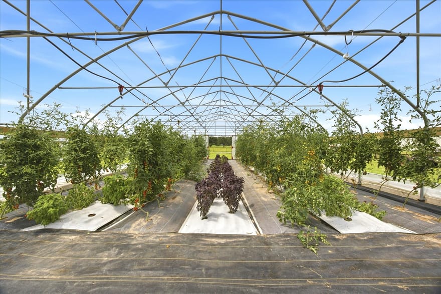 4020 Fm 515a, Emory, Texas