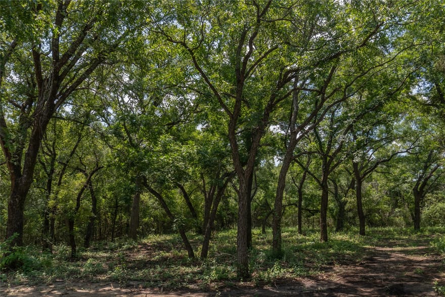 1030 Shiloh Vista Lane, Tolar, Texas
