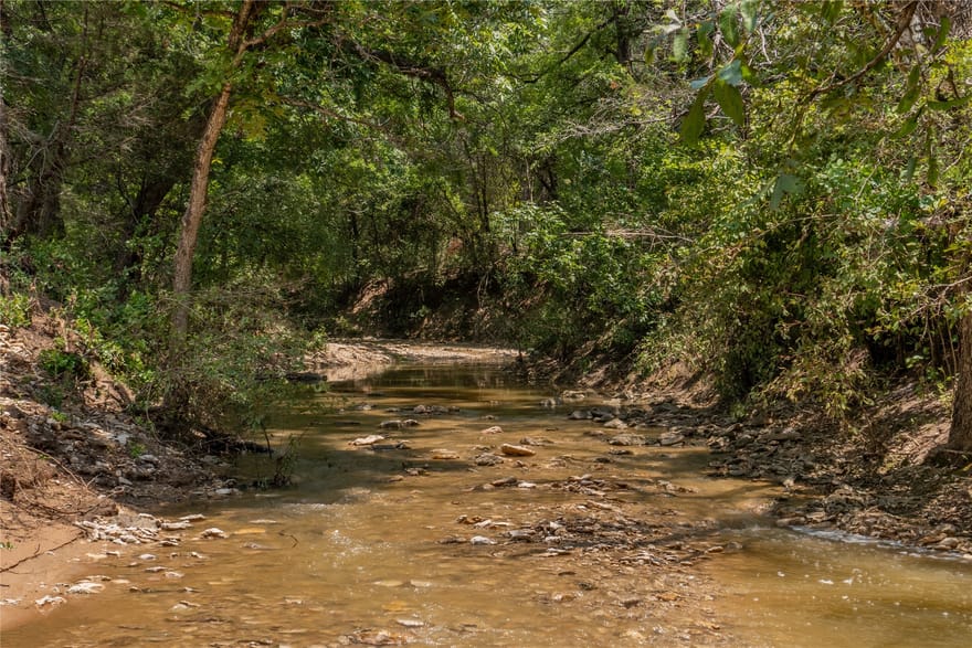 1030 Shiloh Vista Lane, Tolar, Texas