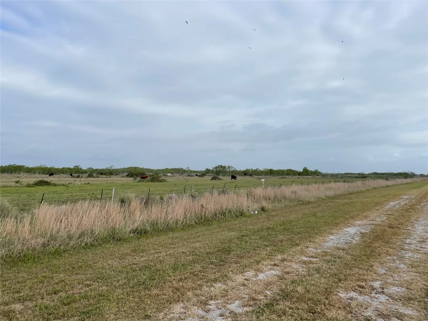 Harbor Dr, Hitchcock, Texas