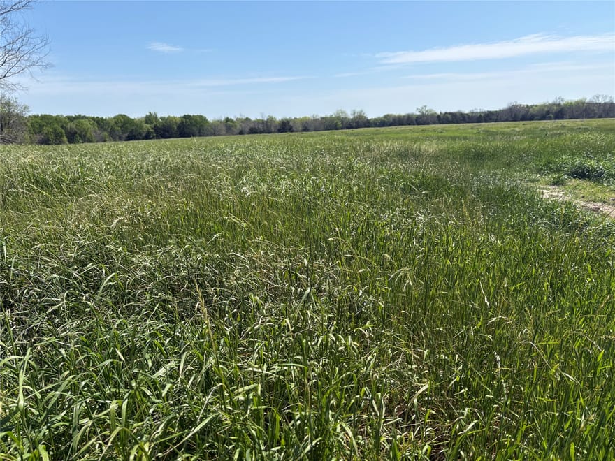 TBD 70ac Cr 4744, Sulphur Springs, Texas