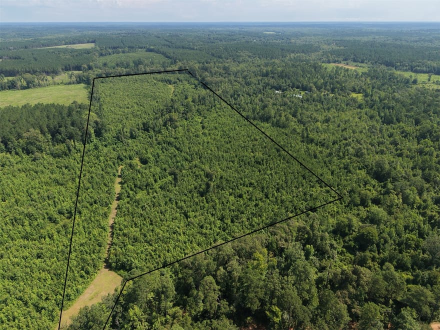 County Road 2339, Marietta, Texas